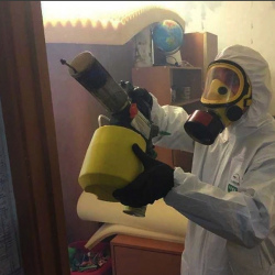Уничтожение клопов в квартире. Реж